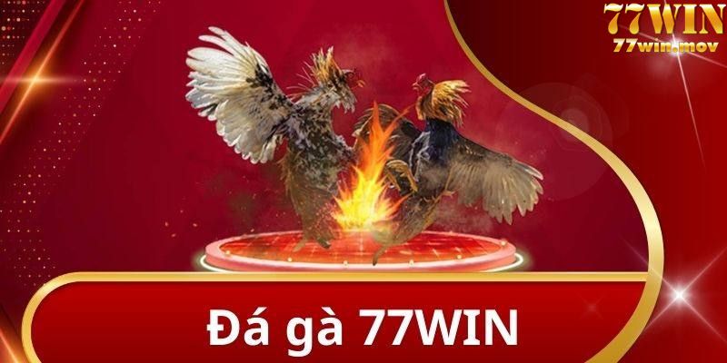 Đá gà 77win